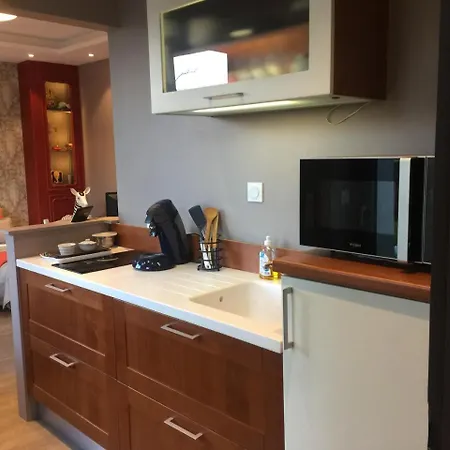 45m2 Avec Terrasse, 2 A 3 Pers, A Richemont Apartment *